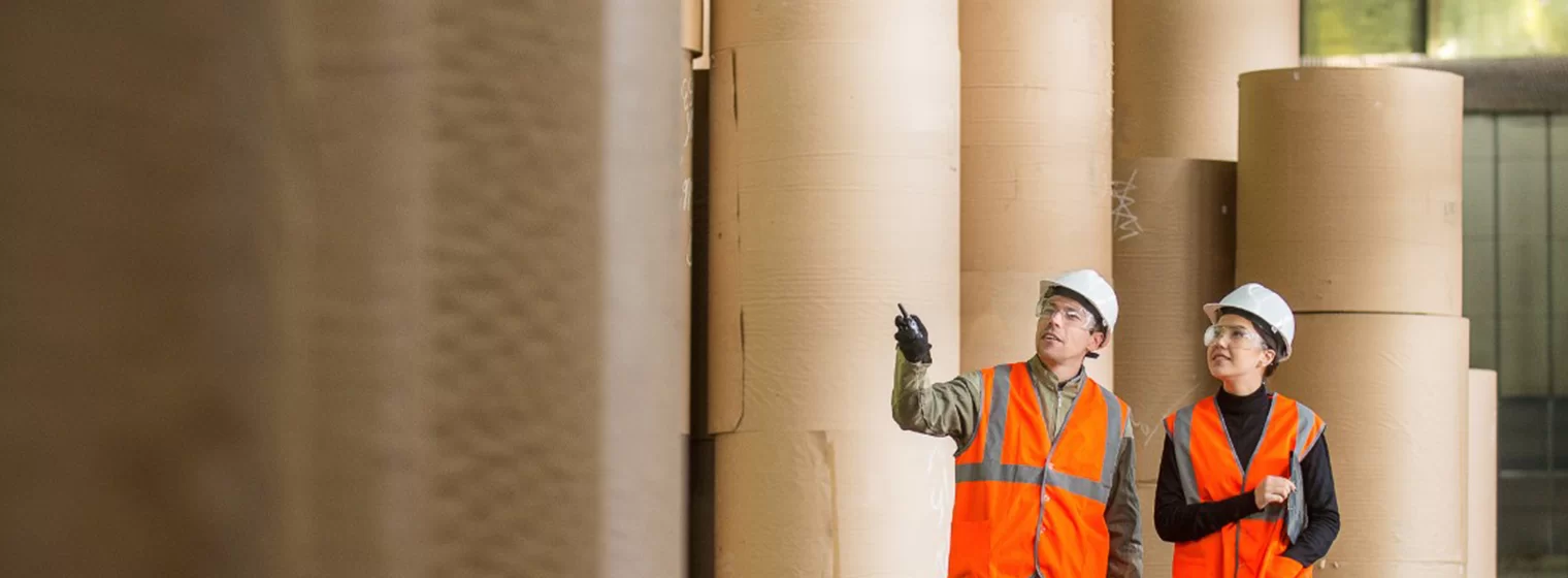 Cenibra – Sistema de central logística