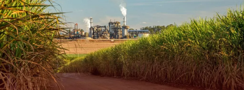 Modelos analíticos na indústria de cana-de-açúcar