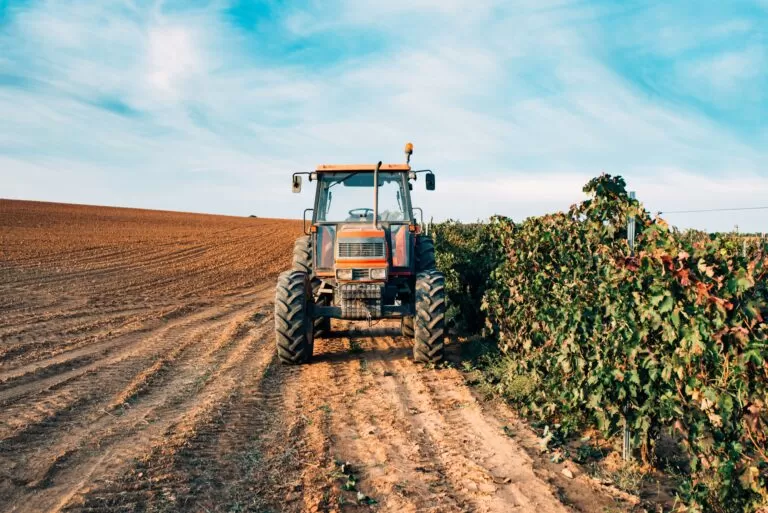 Agronegócio: como planejar a produção de sementes de modo eficiente?